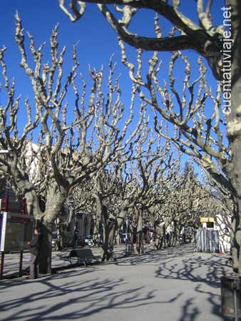 La Seu d´Urgell, Lleida.